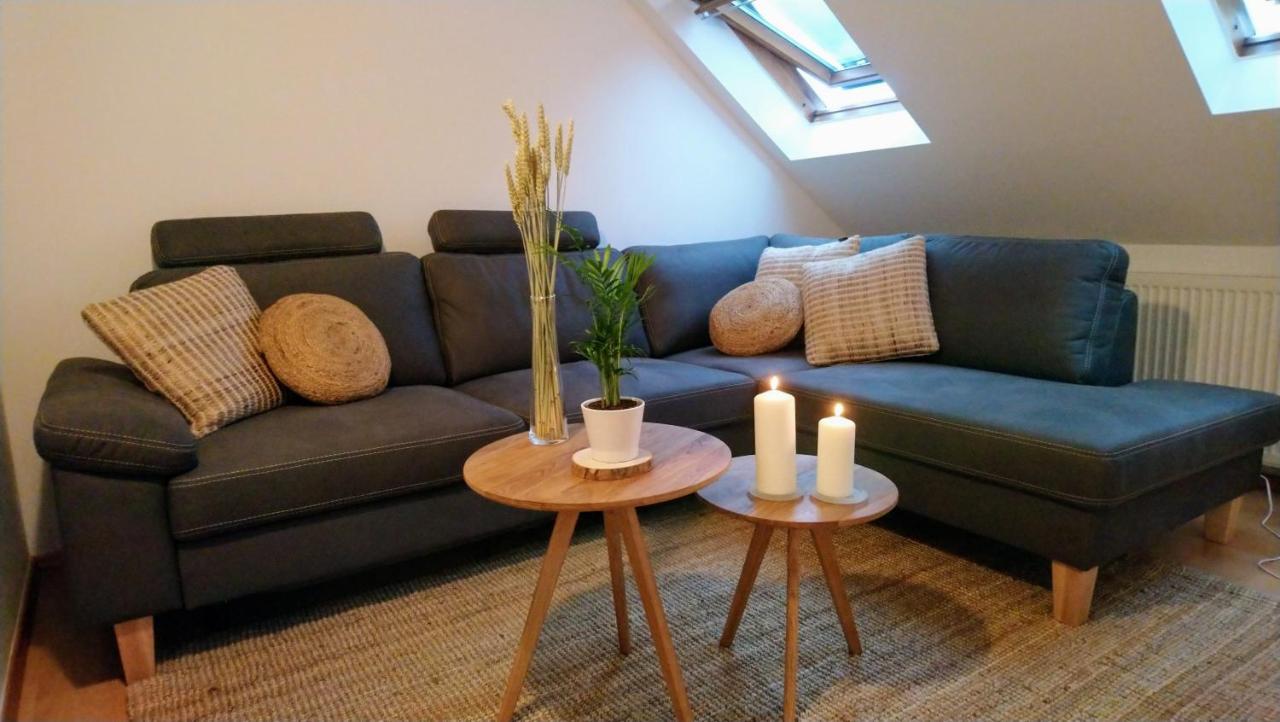 Apartamento Wohlfühlen / Parkplatz / bis 4 Personen / Küche Dresde Exterior foto